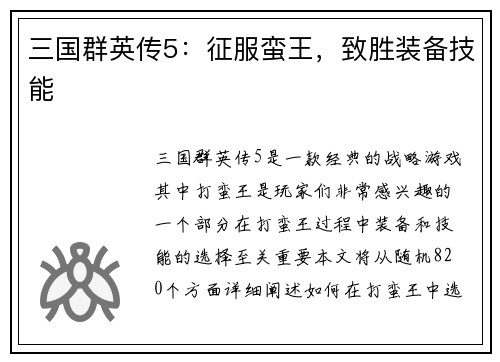 三国群英传5：征服蛮王，致胜装备技能