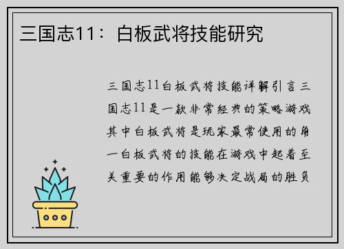 三国志11：白板武将技能研究